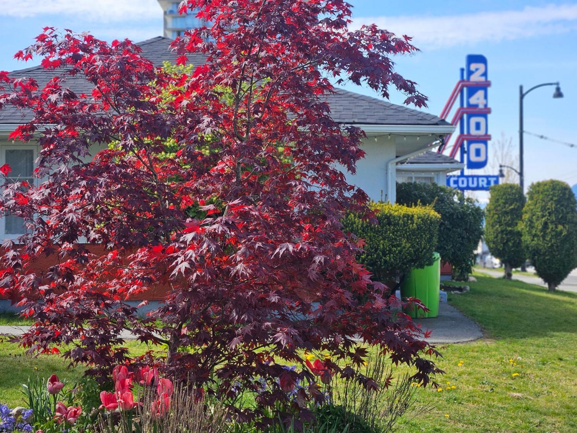 2400 Motel Vancouver Kültér fotó